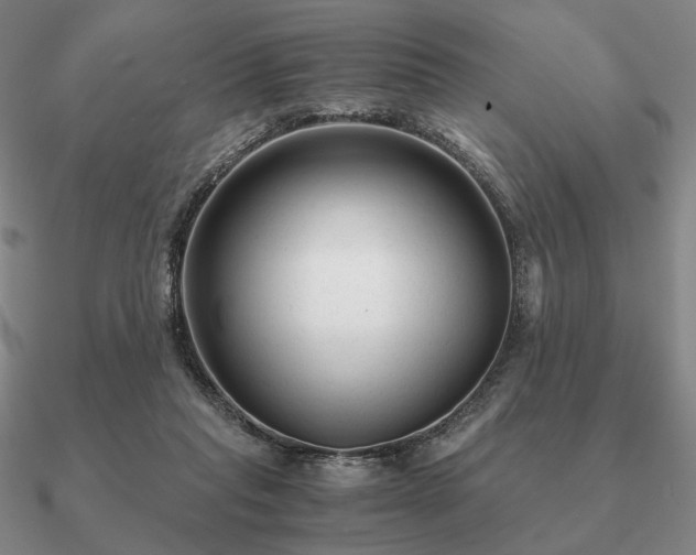 X0000090920261200708061549