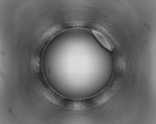 X0000090920264200708061549