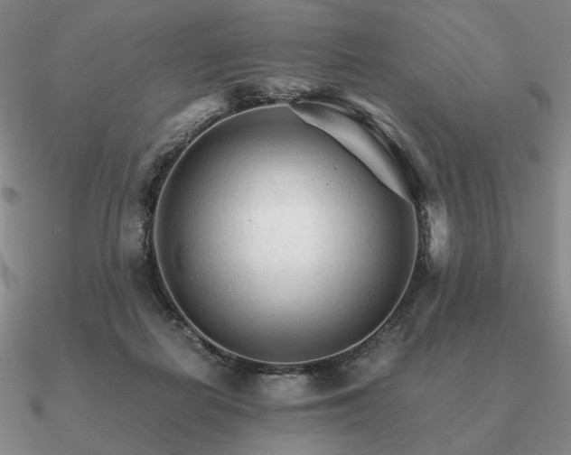 X0000090920266200708061549