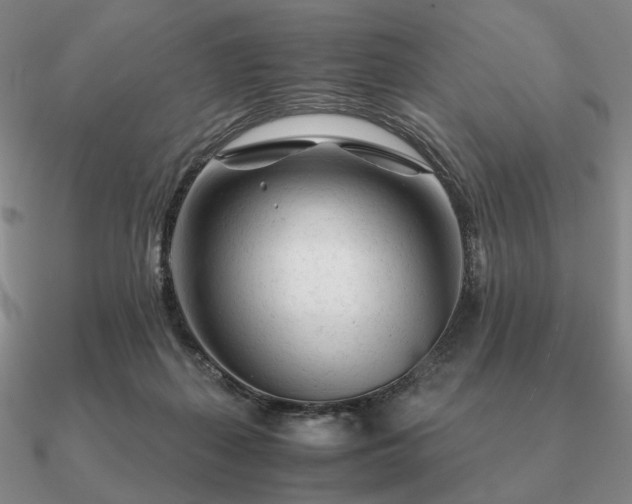 X0000090920267200708061549