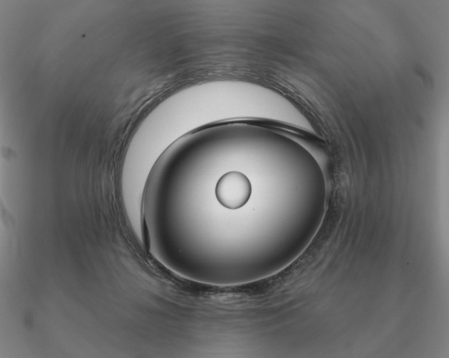 X0000090920268200708061549