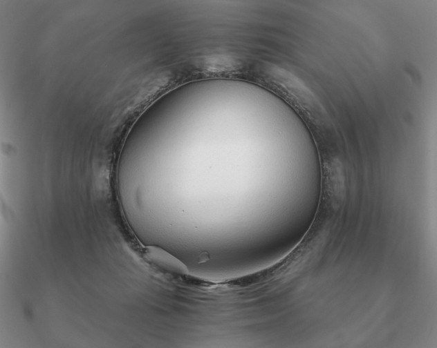 X0000090920269200708061549