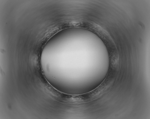 X0000090920270200708061549