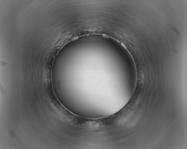 X0000090920272200708061549