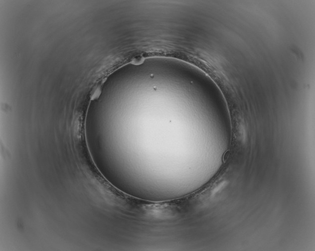 X0000090920273200708061549