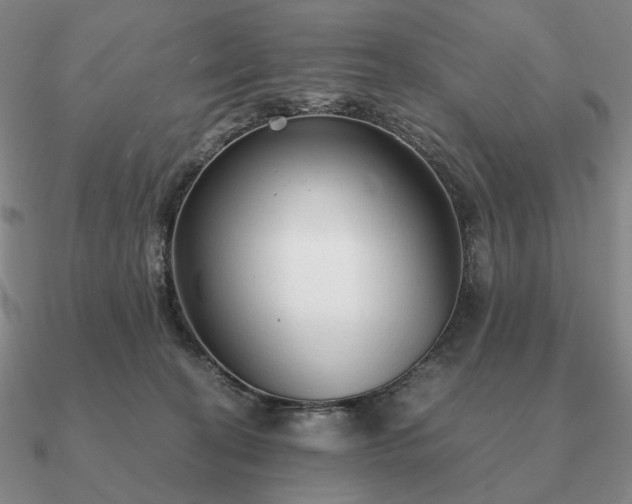 X0000090920274200708061549