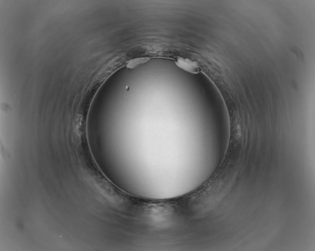 X0000090920275200708061549