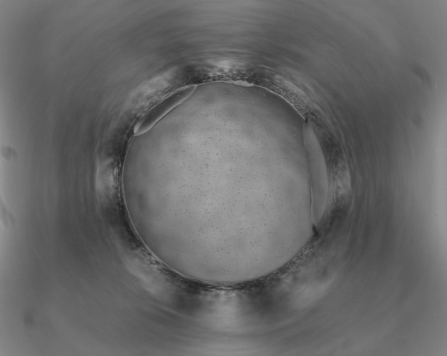 X0000090920276200708061549