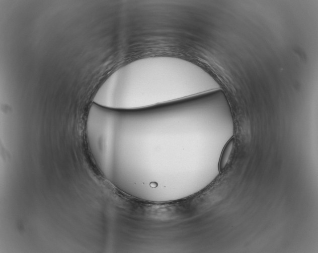 X0000090920277200708061549