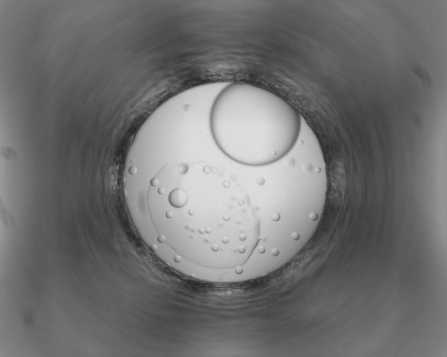 X0000090920278200708061549