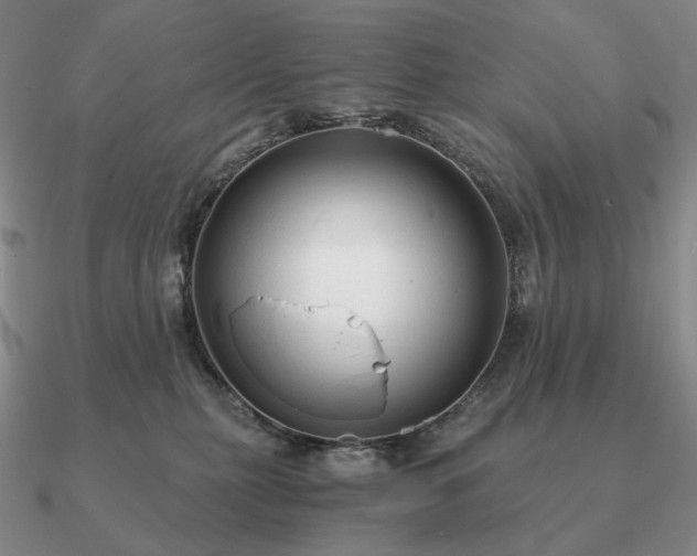 X0000090920279200708061549