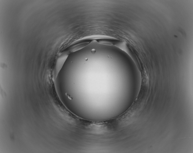 X0000090920280200708061549