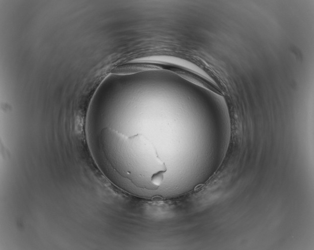 X0000090920281200708061549