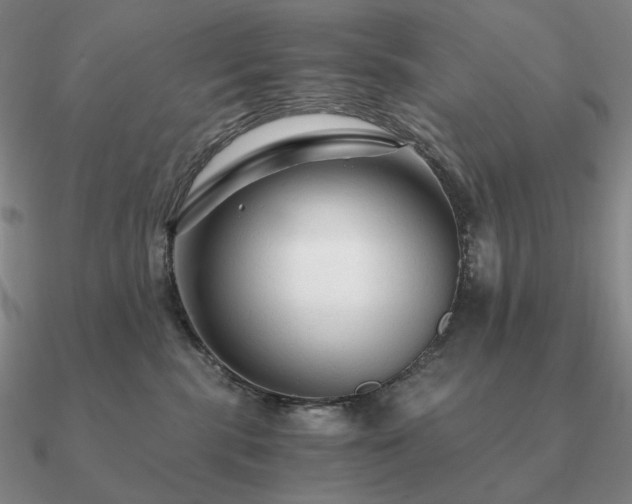 X0000090920283200708061549