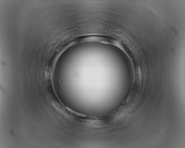 X0000090920284200708061549