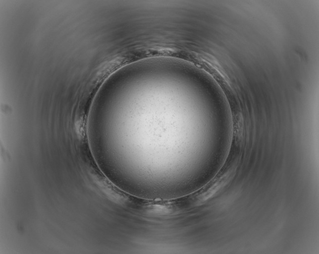 X0000090920285200708061549