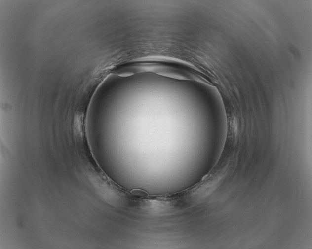 X0000090920286200708061549