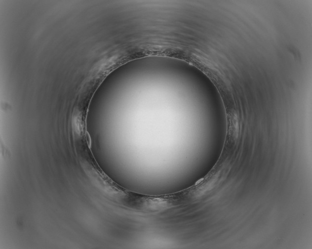 X0000090920287200708061549