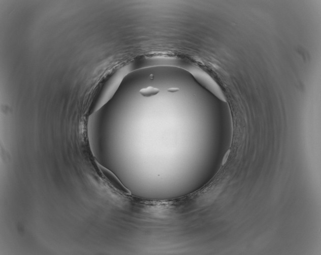 X0000090920288200708061549