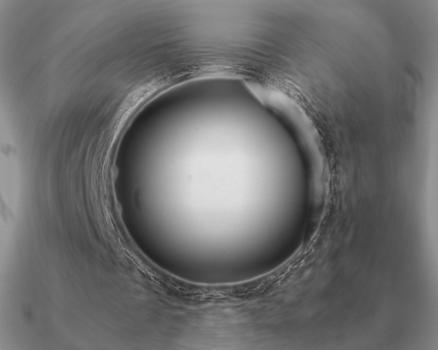 X0000090920289200708061548