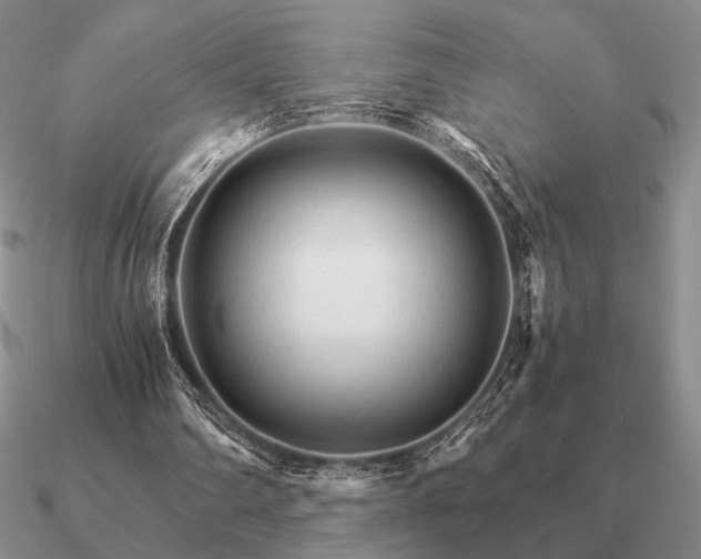 X0000090920290200708061548