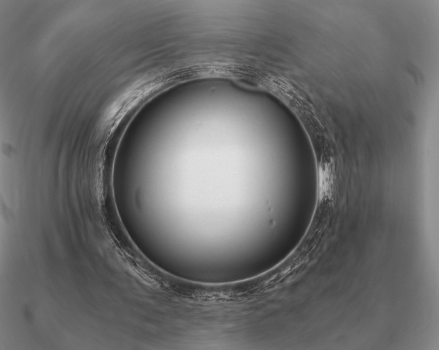 X0000090920291200708061548