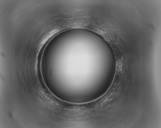 X0000090920292200708061548