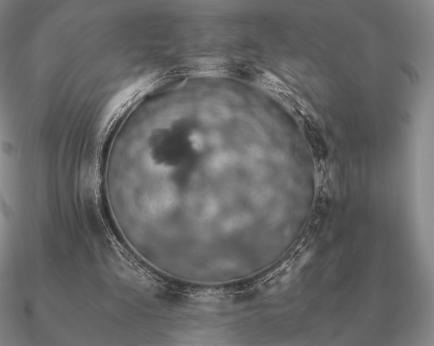 X0000090920293200708061548