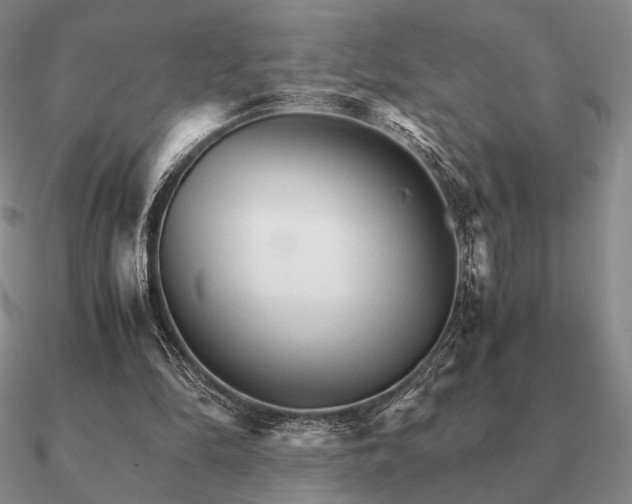 X0000090920294200708061548