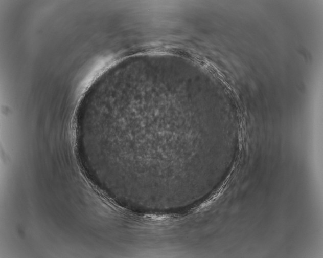 X0000090920295200708061548