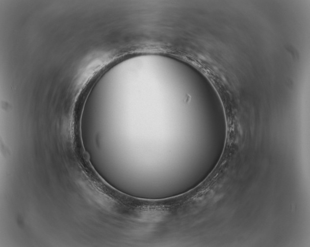 X0000090920296200708061548