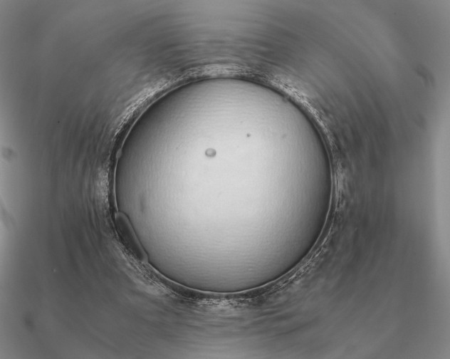 X0000090920297200708061548