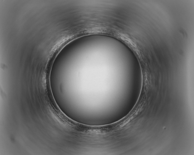 X0000090920298200708061548