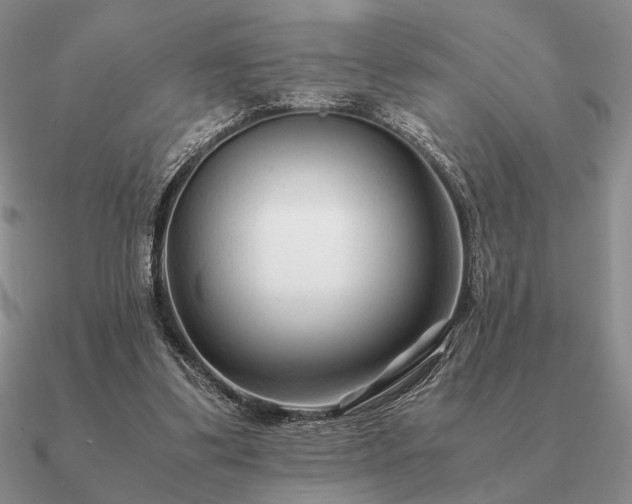 X0000090920299200708061548