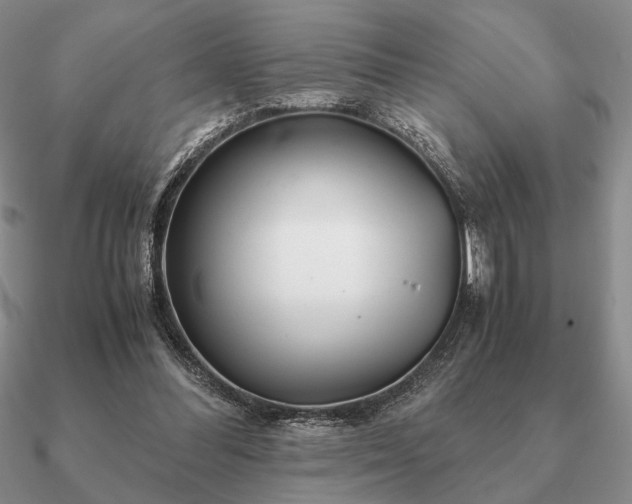 X0000090920300200708061548