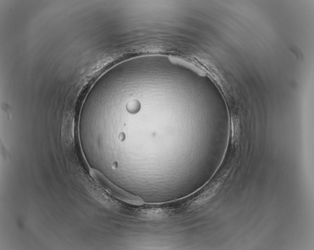 X0000090920301200708061548