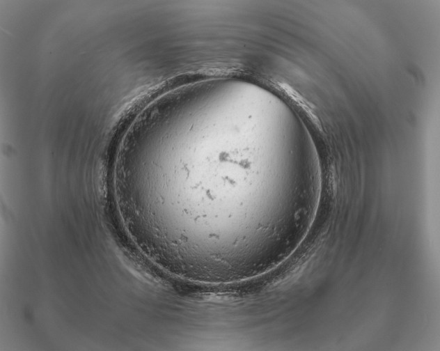 X0000090920303200708061548