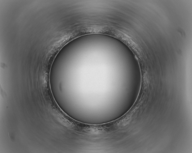 X0000090920305200708061548