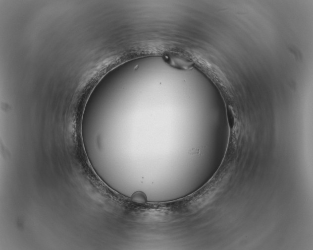 X0000090920306200708061548