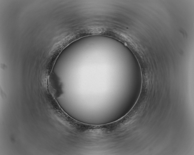 X0000090920307200708061548