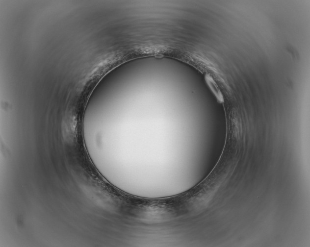 X0000090920308200708061548