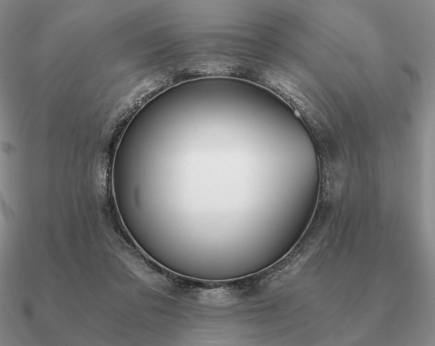 X0000090920309200708061548