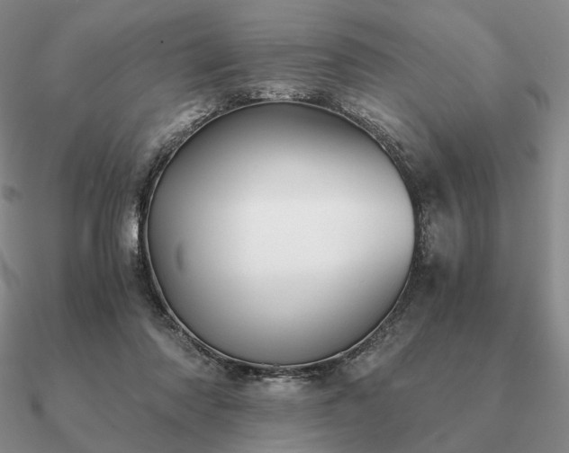 X0000090920310200708061548