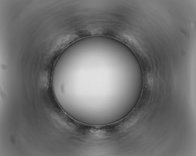 X0000090920311200708061548