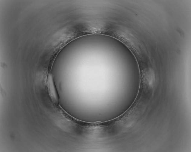 X0000090920313200708061548