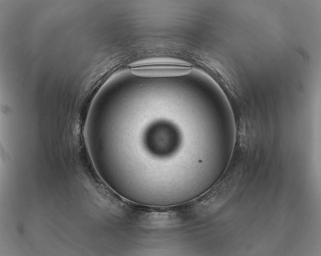 X0000090920314200708061548