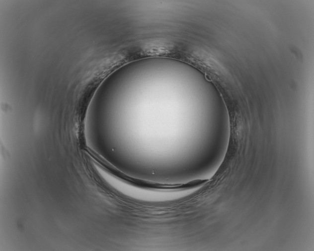 X0000090920315200708061548