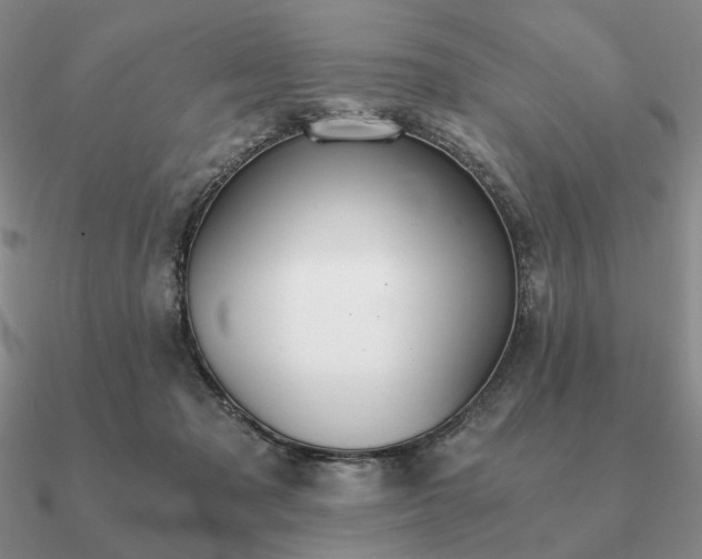 X0000090920317200708061548