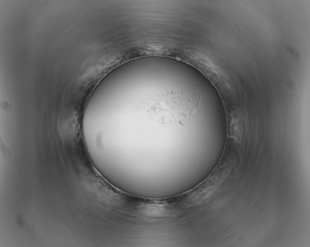 X0000090920318200708061548