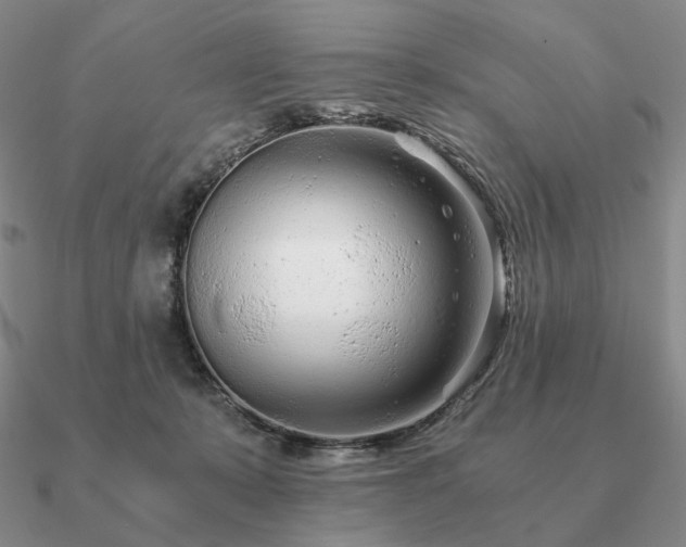 X0000090920319200708061548